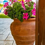 Christina Studios And Apartments Sidari (Corfu)